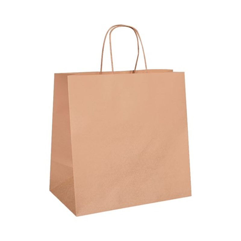 Eco Paper Twist Handle Carry Bag Brown